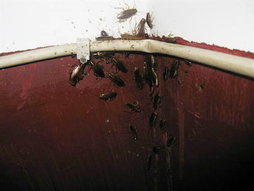 ��(chu��ng)�l(w��i)������˾���ؙz�鿱�y�F(xi��n)��