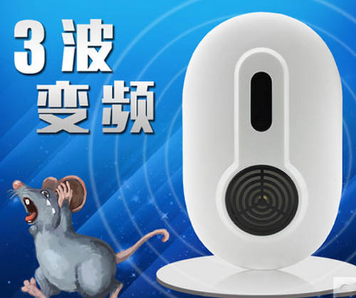 ���؈�(q��)���������� ���]